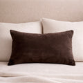 Hardin Velvet Lumbar Pillow Cover
